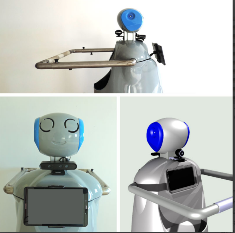 Co-Robotics