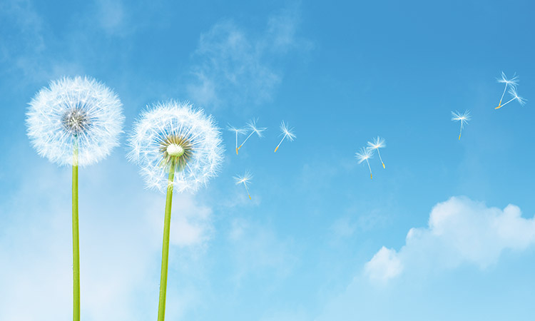 sostenibilità innovazione startup green