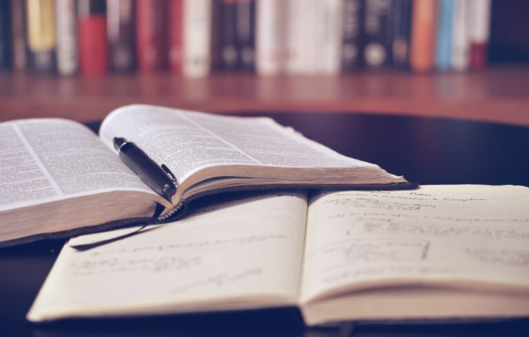 Master Digital Open Innovation Entrepreneurship