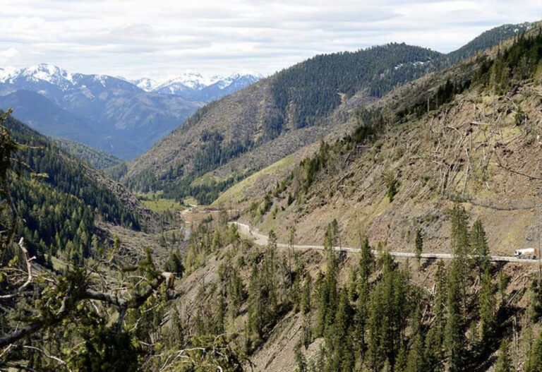 Vaia, l'innovazione dal cuore antico che arriva dalle Dolomiti