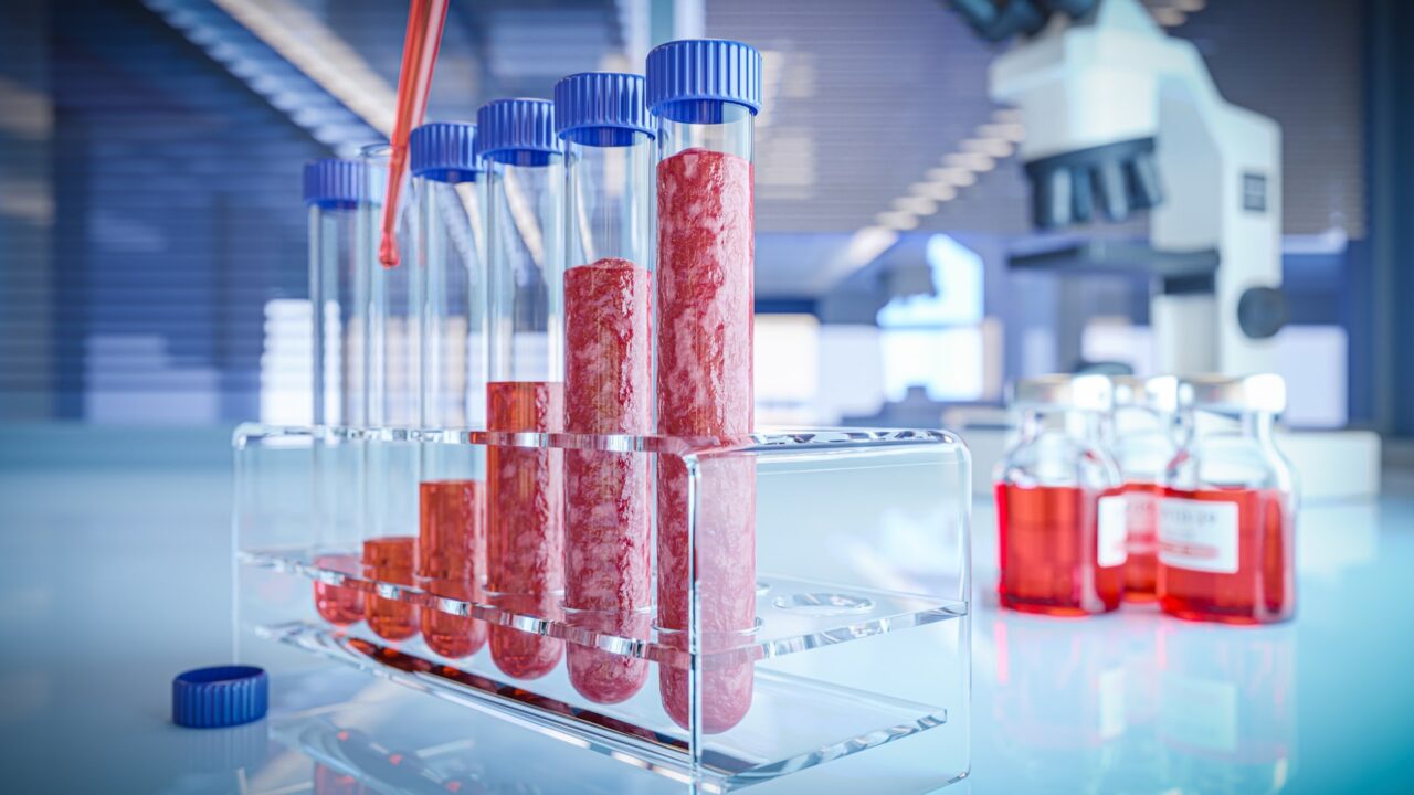 Carne coltivata, artificiale, sintetica