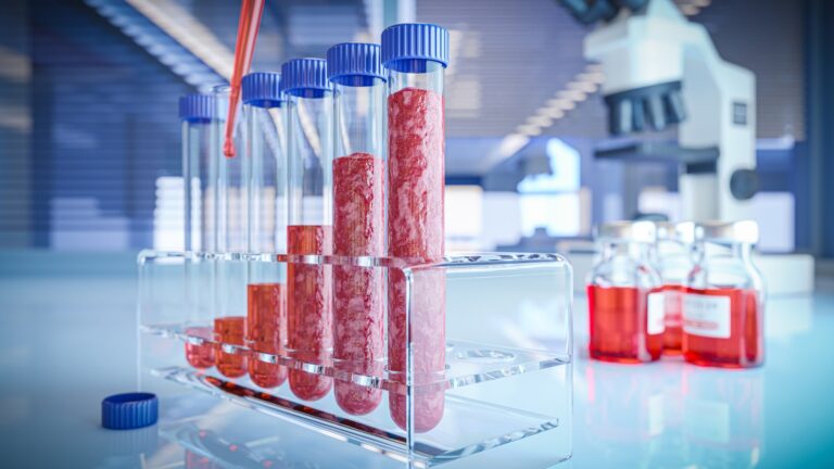 Carne coltivata, artificiale, sintetica