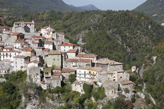 canistro (1)