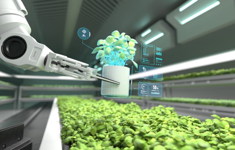 food innovation