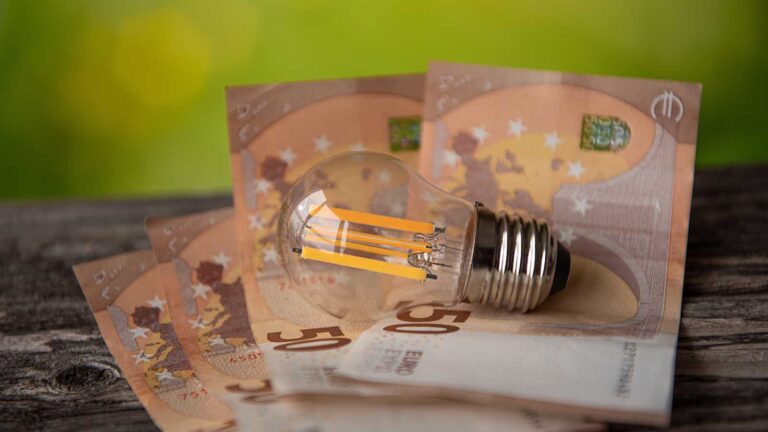 Offerta Pulsee Luce e Gas