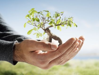 ecologia-sostenibilità-green-150924184614